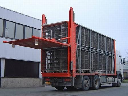 垂直升(shēng)降汽車尾闆(pǎn)